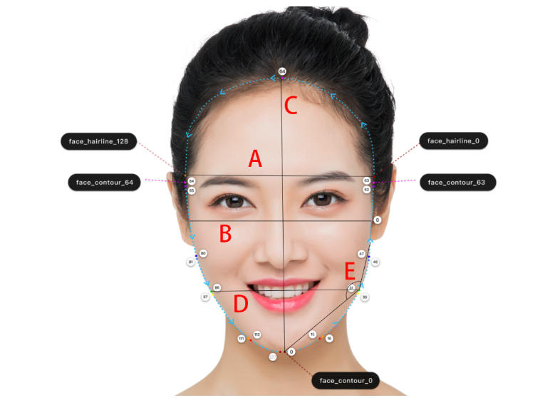 Facial Contour Diagram