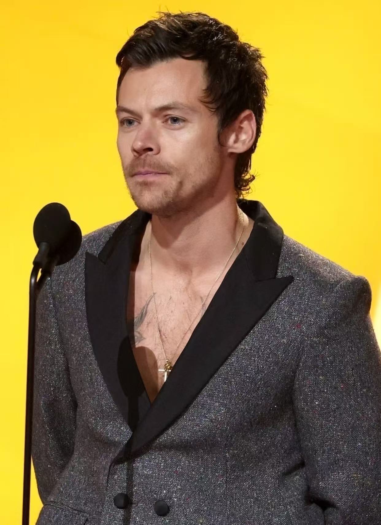 Harry Styles modern short mullet hairstyle
