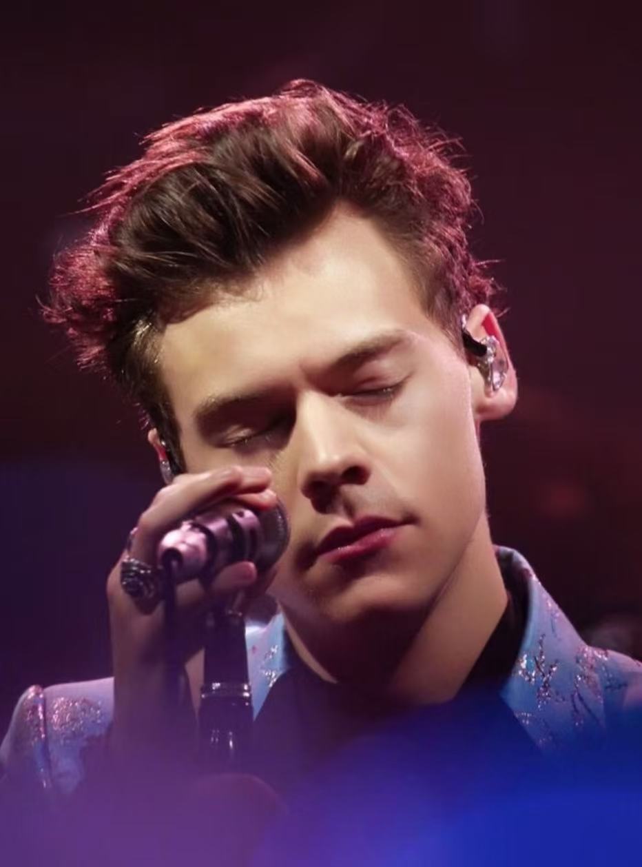 Harry Styles swept back concert hairstyle