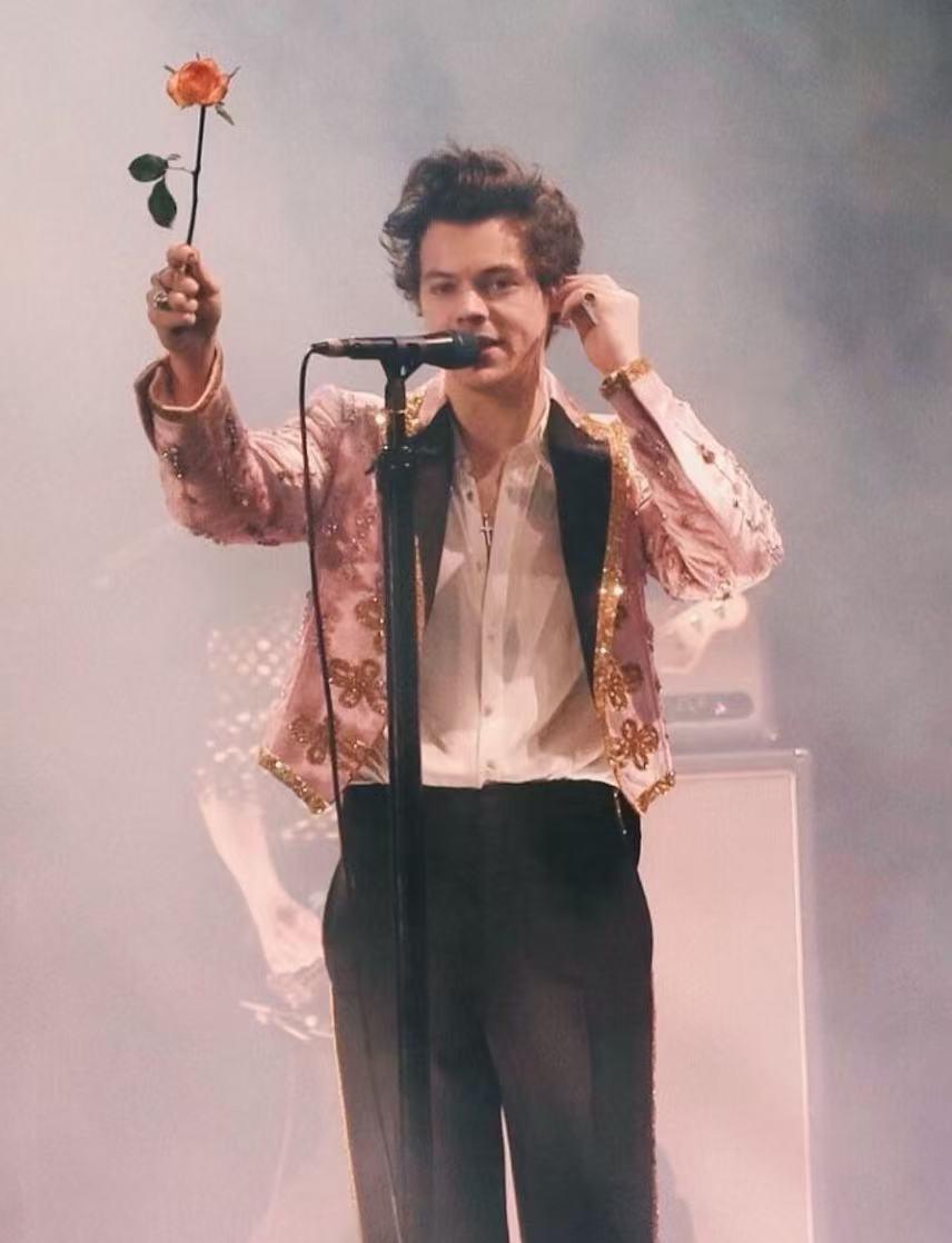 Harry Styles rose era wavy stage hairstyle