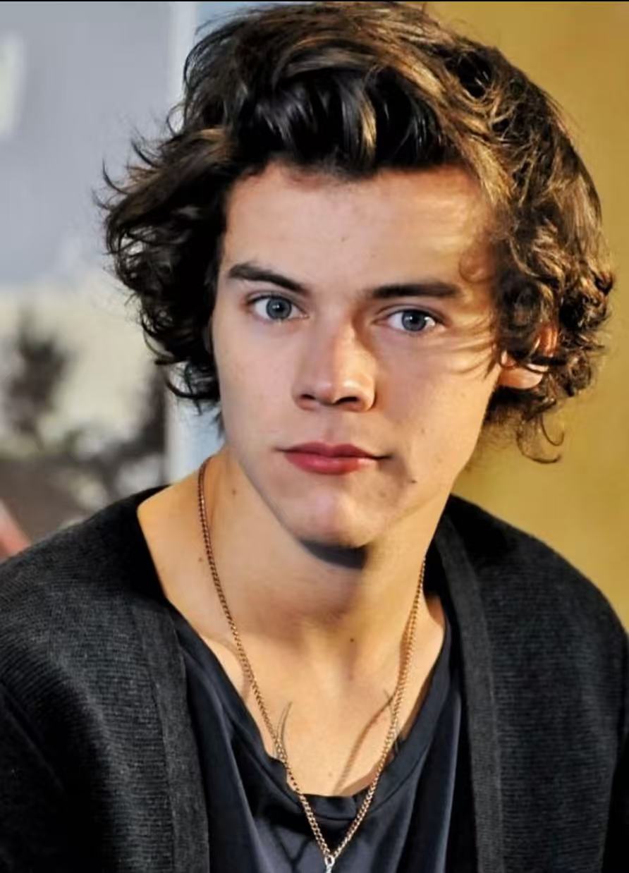 Harry Styles soft youthful curly hairstyle