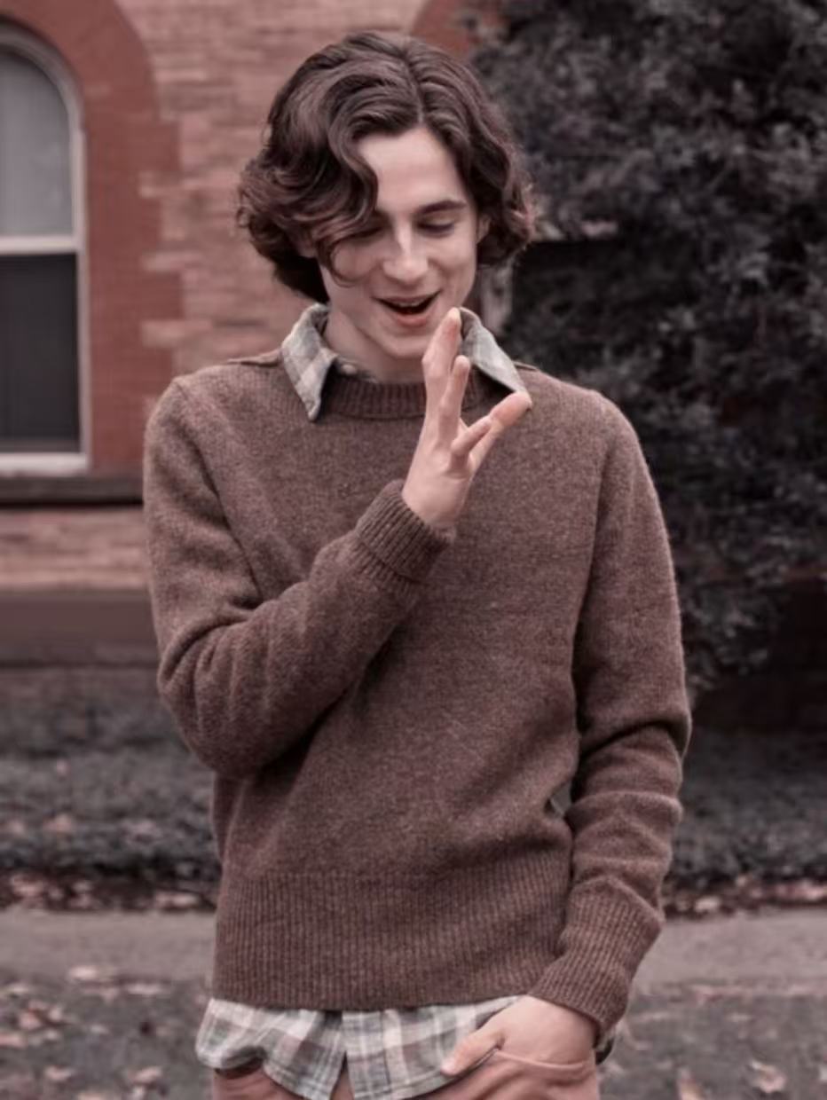 Timothee Chalamet floppy medium length curly hairstyle