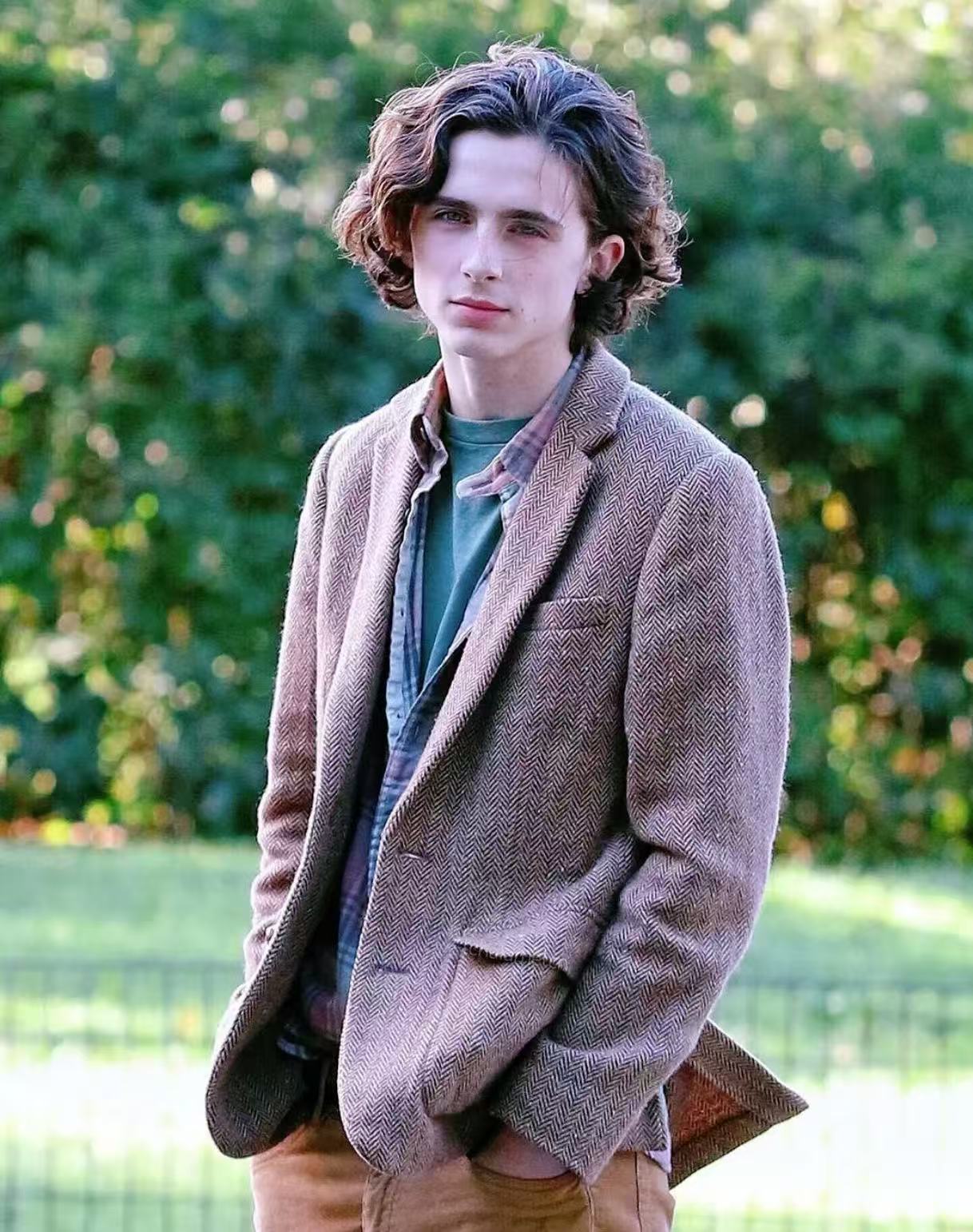 Timothee Chalamet soft academic wavy hairstyle
