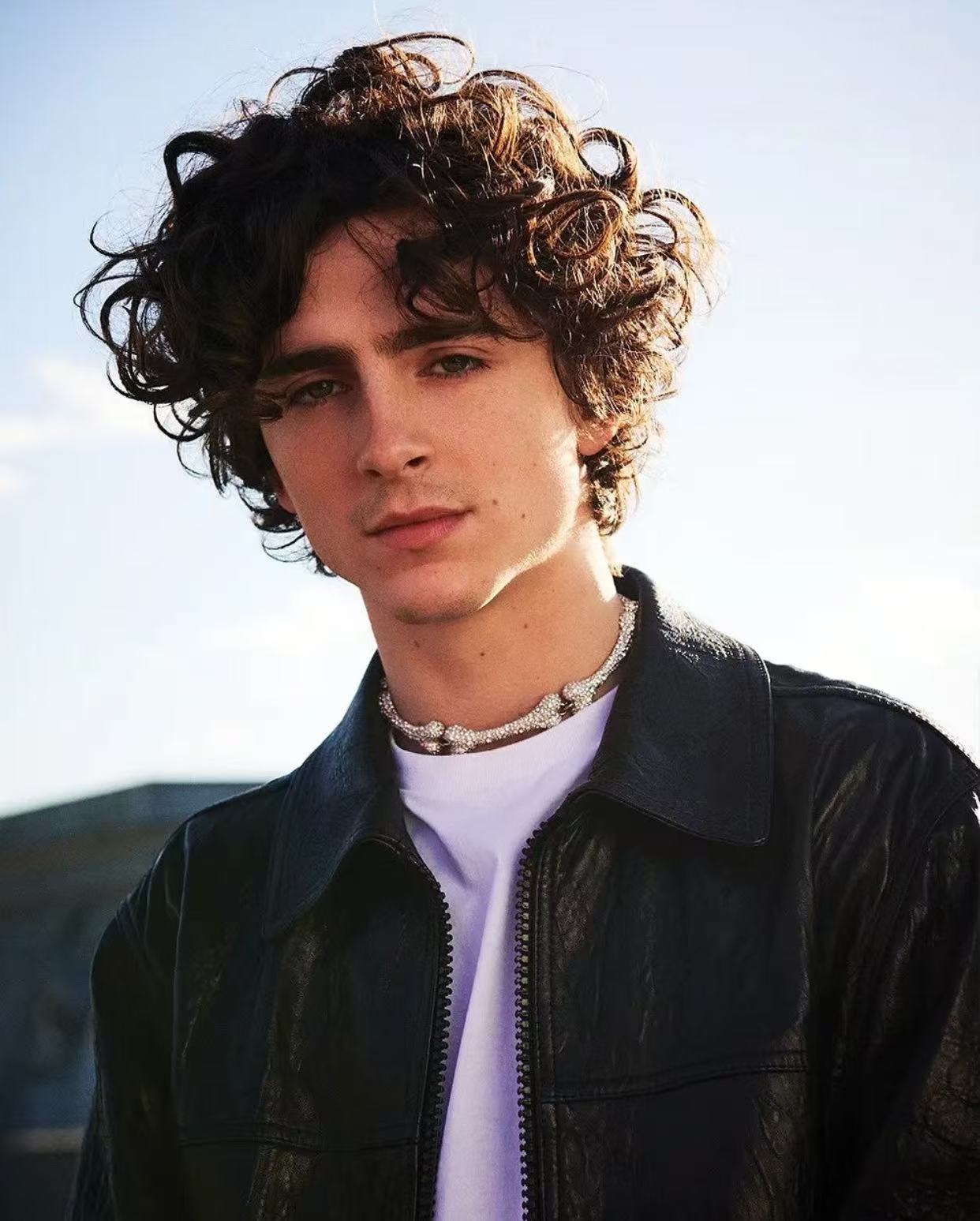 Timothee Chalamet high volume red carpet curly hairstyle