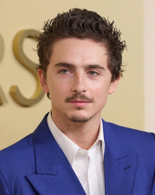 Timothee Chalamet short textured crop hairstyle